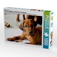 Produktbild: CALVENDO Puzzle Rhodesian Ridgeback R&uuml;de | 1000 Teile Lege-Gr&ouml;&szlig;e 64x48cm Foto-Puzzle f&uuml;r gl&uuml;ckliche Stunden