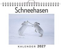 Produktbild: Schneehasen