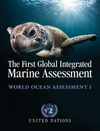 Produktbild: First Global Integrated Marine Assessment
