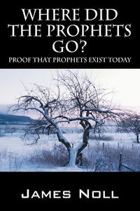 Produktbild: Where Did The Prophets Go?
