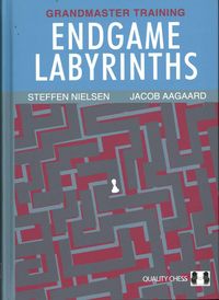 Produktbild: Endgame Labyrinths