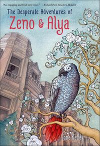 Produktbild: The Desperate Adventures of Zeno & Alya