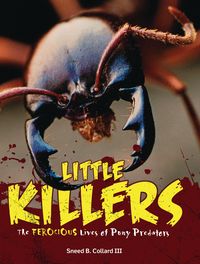 Produktbild: Little Killers