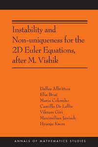 Produktbild: Instability and Non-uniqueness for the 2D Euler Equations, after M. Vishik