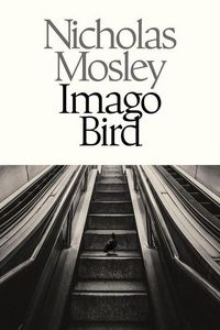 Produktbild: Imago Bird
