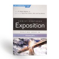 Produktbild: Exalting Jesus in Hebrews