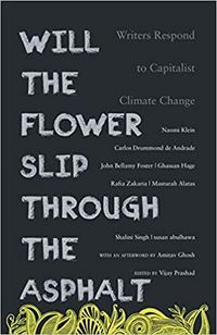 Produktbild: Will the Flower Slip Through the Asphalt?