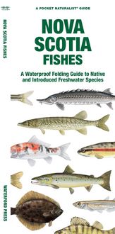 Produktbild: Nova Scotia Fishes