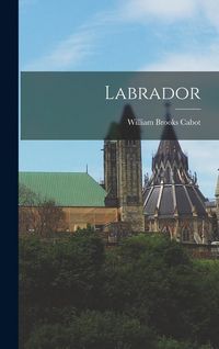 Produktbild: Labrador