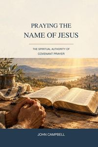 Produktbild: Praying The Name of Jesus