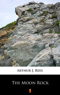 Produktbild: The Moon Rock