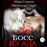 Produktbild: Moj boss iz ada