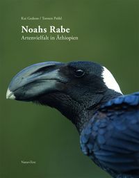 Produktbild: Noahs Rabe