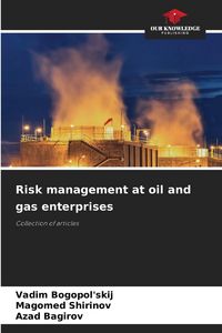 Produktbild: Risk management at oil and gas enterprises
