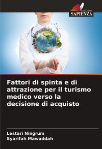 Produktbild: Fattori di spinta e di attrazione per il turismo medico verso la decisione di acquisto