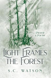 Produktbild: Light Frames the Forest