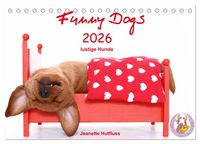Produktbild: Funny Dogs (Tischkalender 2026 DIN A5 quer), CALVENDO Monatskalender