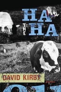 Produktbild: The Ha-ha