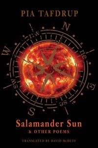 Produktbild: Salamander Sun and Other Poems