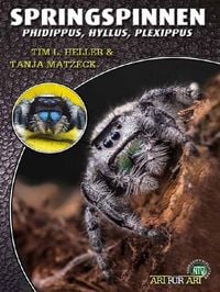 Produktbild: Springspinnen
