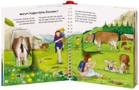In den Bergen / Wieso? Weshalb? Warum? Junior Bd. 42