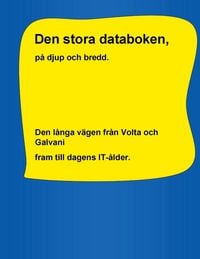 Produktbild: Den stora databoken, p&aring; djup och bredd.