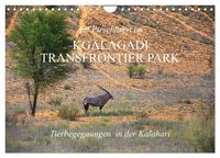 Produktbild: Auf Pirschfahrt im Kgalagadi Transfrontier Park (Wandkalender 2027 DIN A4 quer), CALVENDO Monatskalender