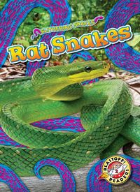 Produktbild: Rat Snakes