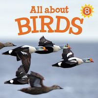 Produktbild: All about Birds