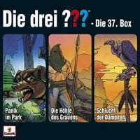 Produktbild: 3er-Box (Folgen 110-112)