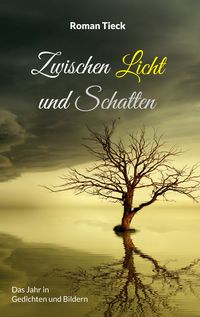 Produktbild: Zwischen Licht und Schatten