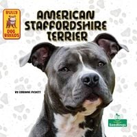 Produktbild: American Staffordshire Terrier