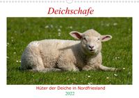 Produktbild: Deichschafe (Wandkalender 2022 DIN A3 quer)