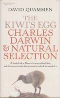 Produktbild: Kiwis Egg