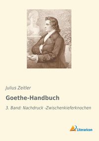 Produktbild: Goethe-Handbuch