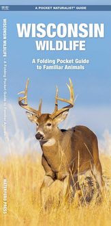 Produktbild: Wisconsin Wildlife