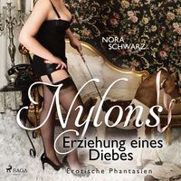 Produktbild: Nylons: Erziehung eines Diebes - Erotische Phantasien