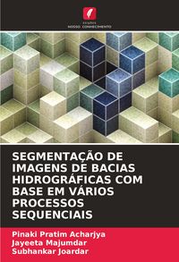 Produktbild: SEGMENTA&Ccedil;&Atilde;O DE IMAGENS DE BACIAS HIDROGR&Aacute;FICAS COM BASE EM V&Aacute;RIOS PROCESSOS SEQUENCIAIS