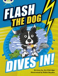 Produktbild: Bug Club Independent Fiction Year 3 Brown B Flash the Dog Dives In!