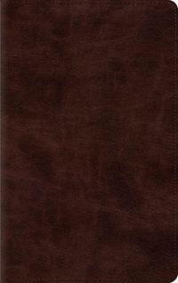 Produktbild: Thinline Bible-ESV