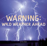 Produktbild: Warning: Wild Weather Ahead