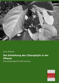 Produktbild: Die Entstehung des Chlorophylls in der Pflanze