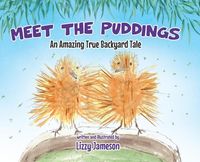 Produktbild: Meet the Puddings