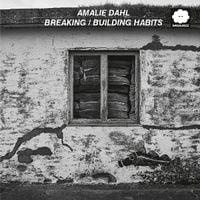 Produktbild: Breaking/Building Habits (live)
