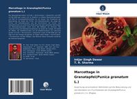 Produktbild: Marcottage in Granatapfel(Punica granatum L.)