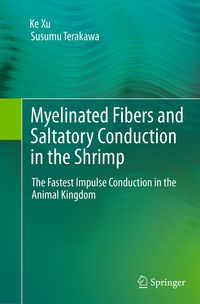 Produktbild: Myelinated Fibers and Saltatory Conduction in the Shrimp