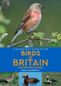 Produktbild: A Naturalist's Guide to the Birds of Britain & Northern Europe