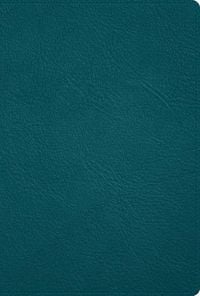 Produktbild: Rvr 1960 Biblia Deluxe, Verde Turquesa Piel Genuina