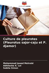 Produktbild: Culture de pleurotes (Pleurotus sajor-caju et P. djamor)