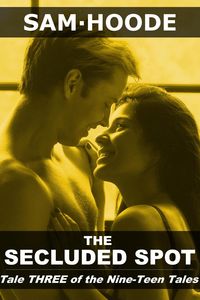 Produktbild: The Secluded Spot (Nine-Teen Tales, #3)